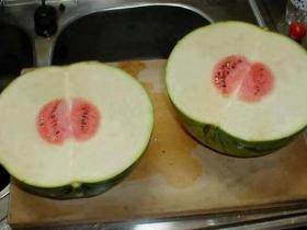 (⊙o⊙) 不完全进化论,达尔文表示有话要说