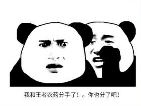我和王者农药分手了,你也分了吧!