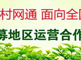 全国村网通工程:引领中国