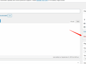 「教程」如何快速删除不需要的WordPress页面