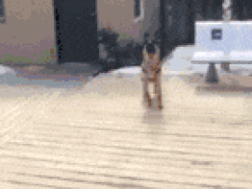 GIF搞笑趣图:姑娘,胆子挺大啊!竟然这东西都敢摸!