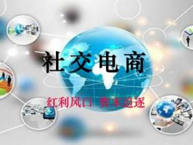 社交电商 | 红利风口,资本追逐